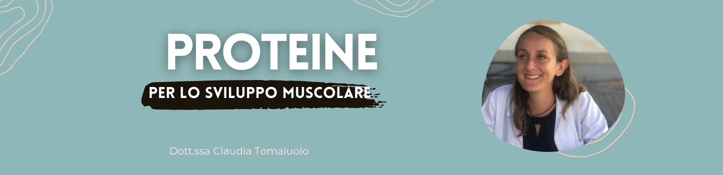 L’Importanza delle Proteine nell’Allenamento e nello Sviluppo degli Addominali